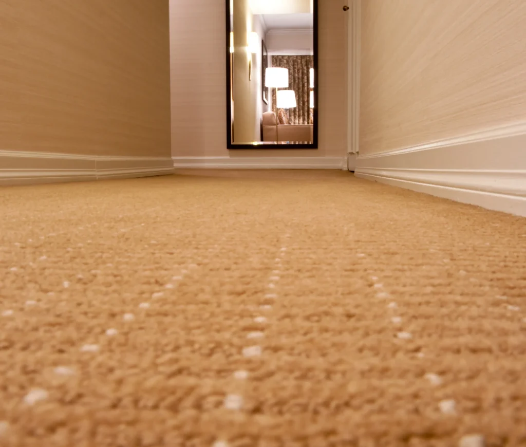 Carpet Flooring Carpet Flooring